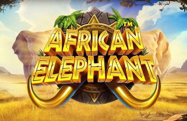 African Elephant
